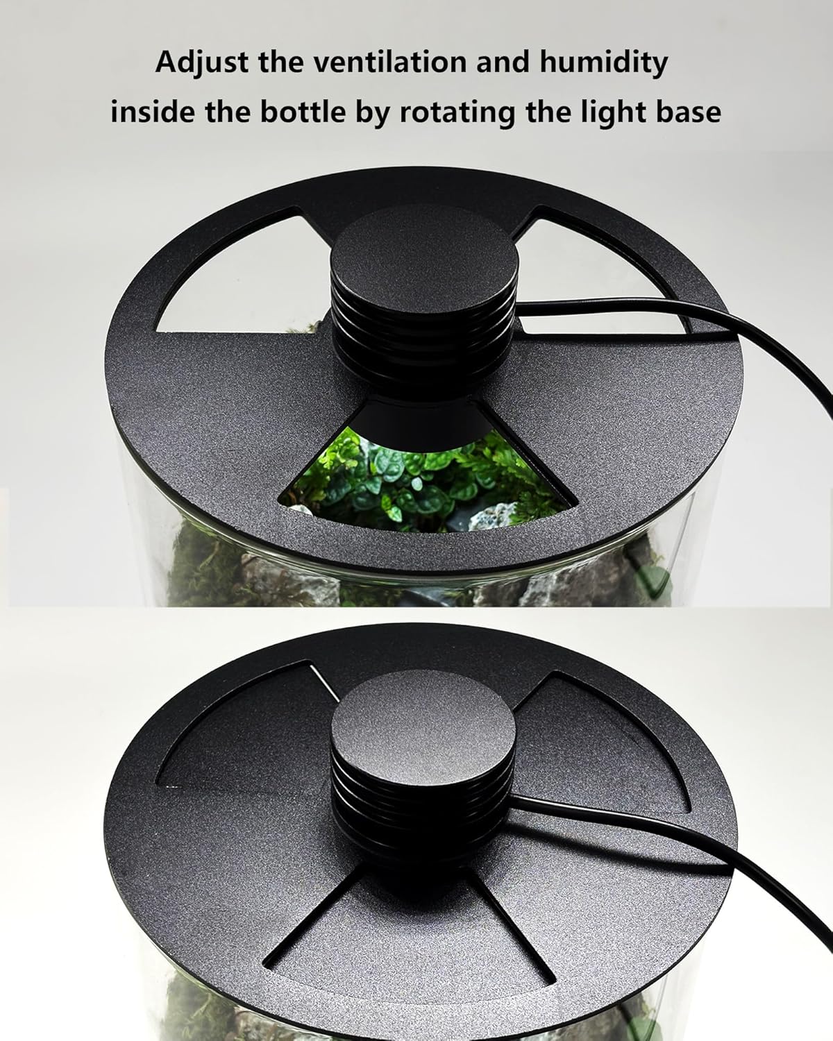Terrarium en verre d'intérieur - Aquarium Plant avis et prix
