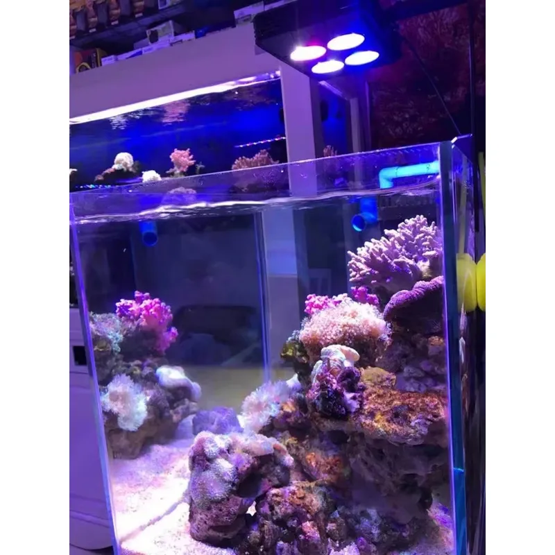 Gako A052 52w, éclairage LED p - Aquarium Plants For Sale avis et prix
