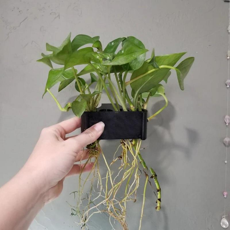 Porte-plante d'aquarium suspen - Emersed Plants Aquarium avis et prix