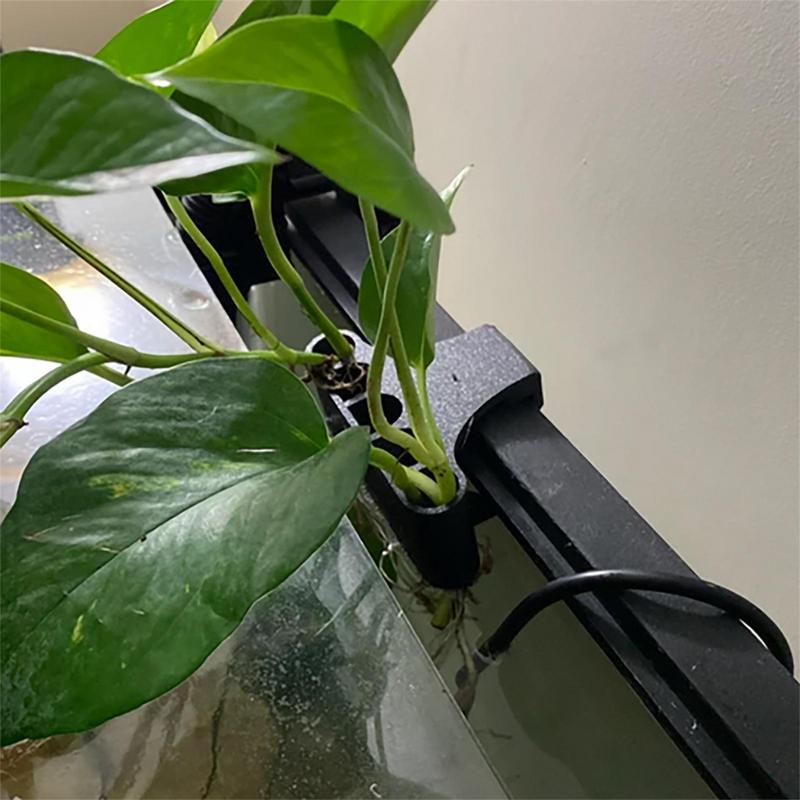 Porte-plante d'aquarium suspen - Emersed Plants Aquarium avis et prix