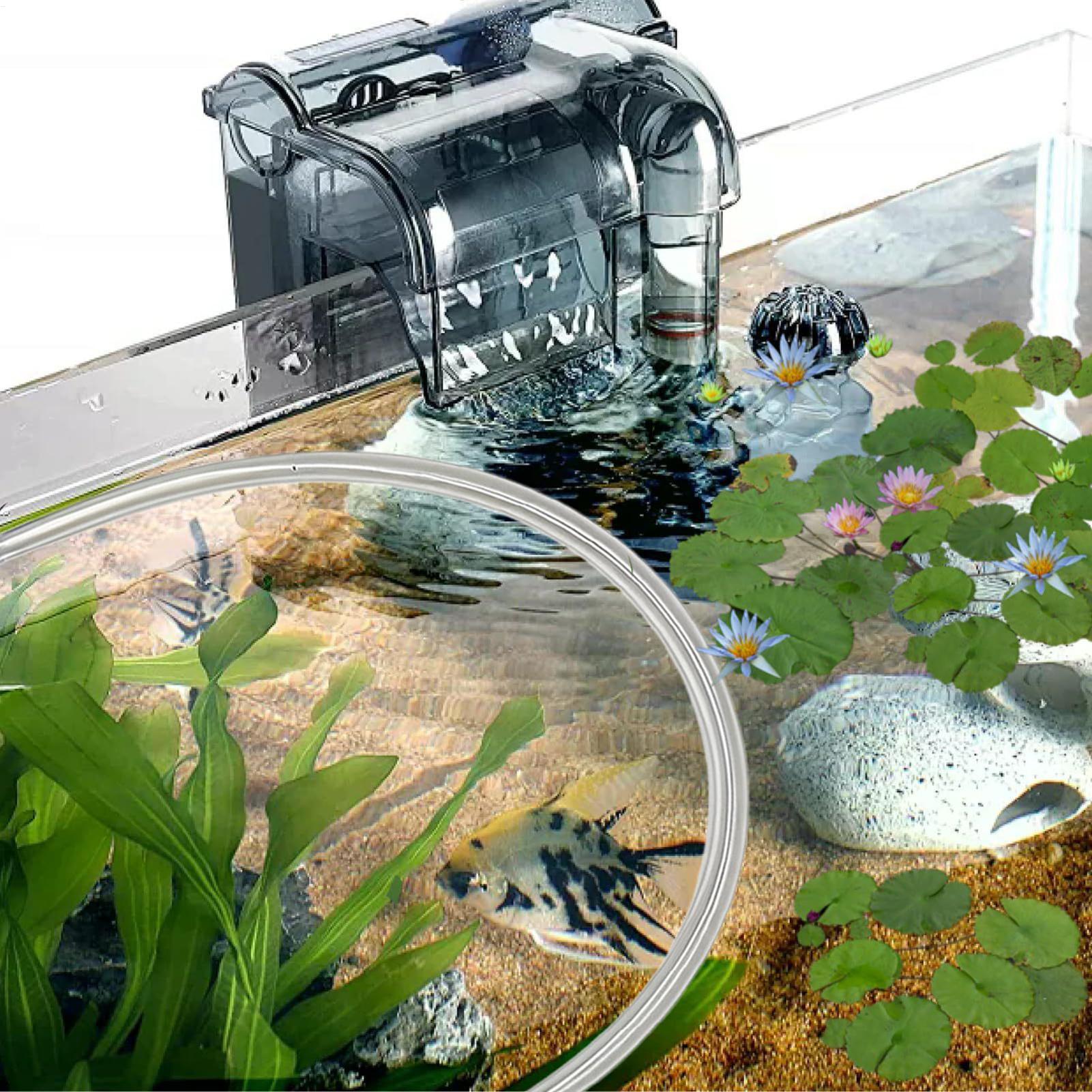 Barrière flottante pour plante - Planted Aquarium Betta avis et prix