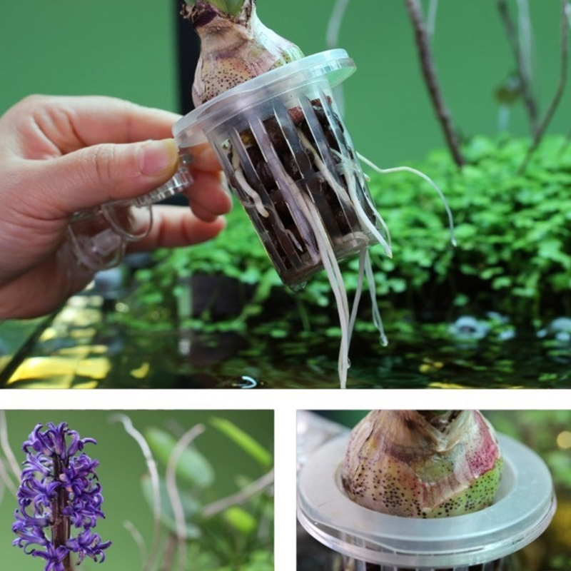 Support pour plantes d'aquariu - Emersed Plants Aquarium avis et prix