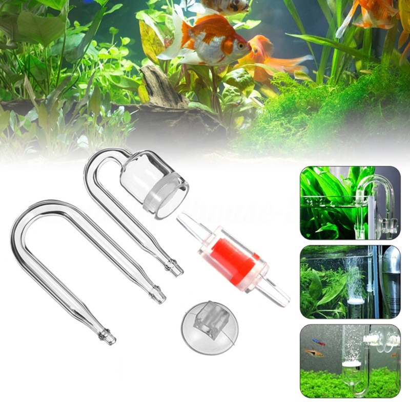 Diffuseur de CO2 pour aquarium - Aquarium Plant Grass avis et prix