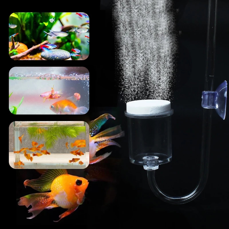 Diffuseur de CO2 pour aquarium - Aquarium Plant Grass avis et prix
