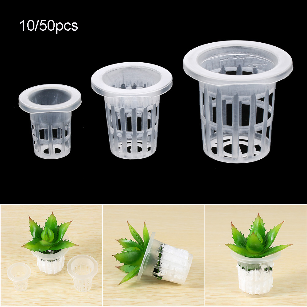 Plateaux de graines hydroponiq - Aquarium Planted Seeds avis et prix