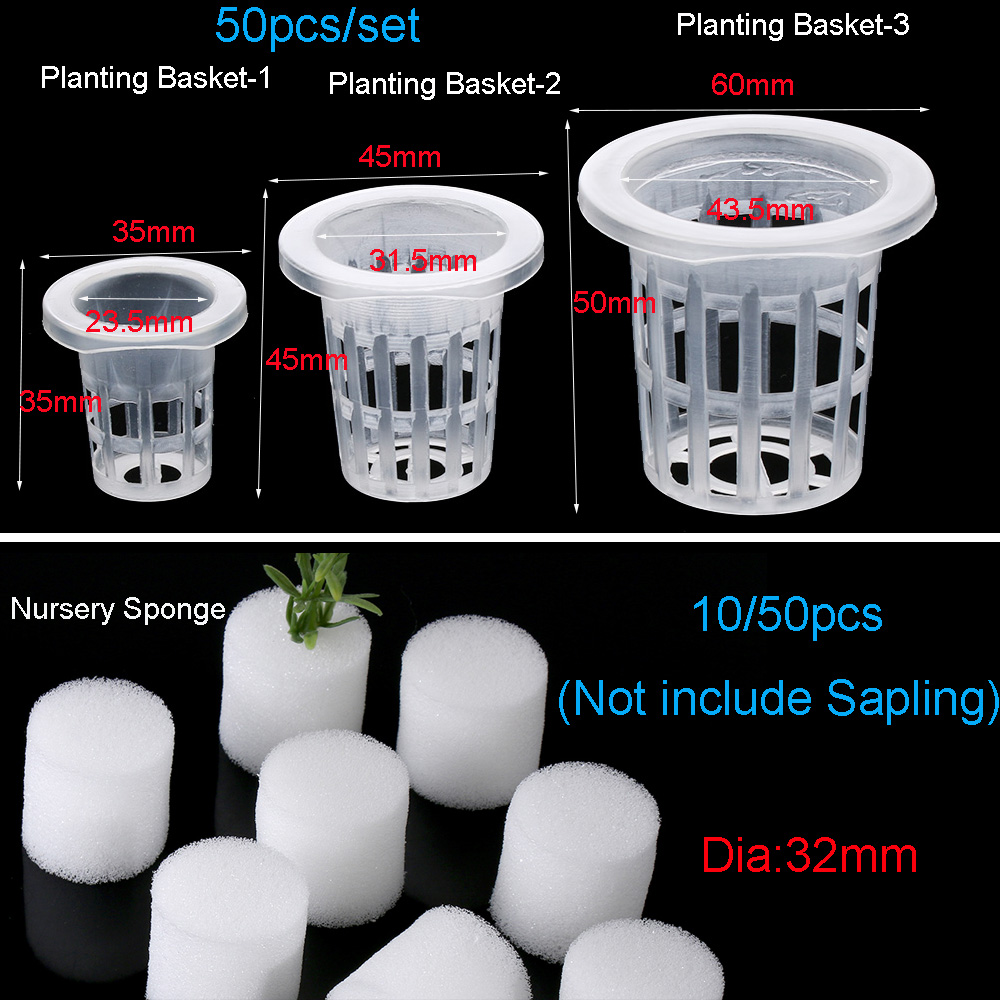 Plateaux de graines hydroponiq - Aquarium Planted Seeds avis et prix