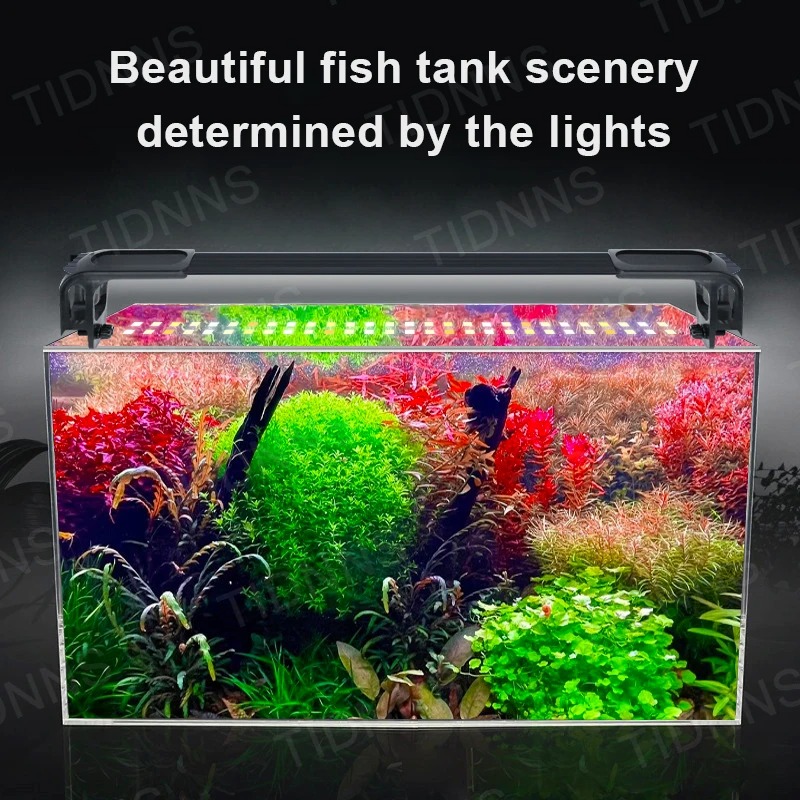 Lampe de croissance LED pour a - Aquarium Plant Diseases avis et prix