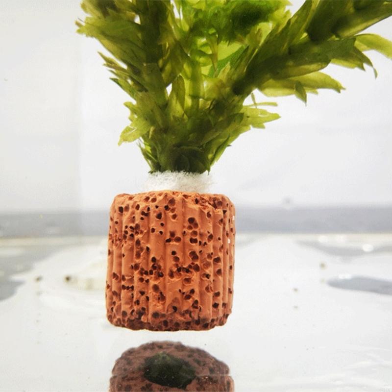 F19B porte-plantes d'aquarium, - Emersed Plants Aquarium avis et prix