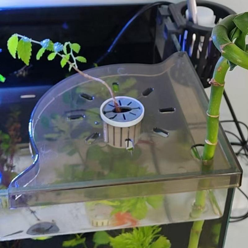 Étagère d'angle pour Aquarium, - Aquarium Planted Seeds avis et prix