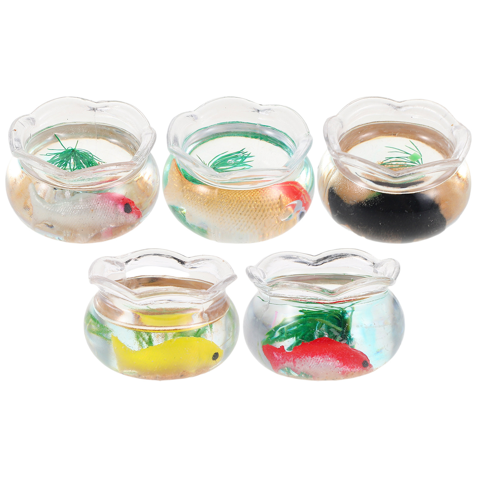 5 pièces de mini aquariums ron - Aquarium Plant avis et prix