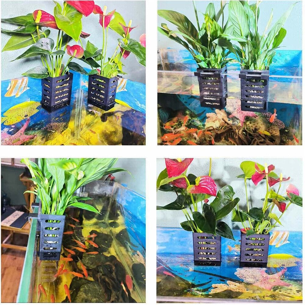 Support pour plantes aquatique - Emersed Plants Aquarium avis et prix