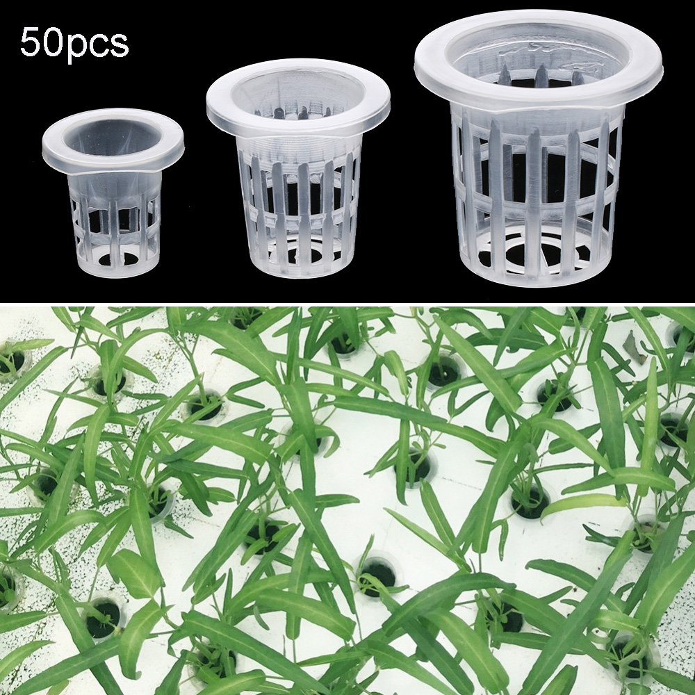 10/50pcs fournitures de jardin - Aquarium Planted Seeds avis et prix